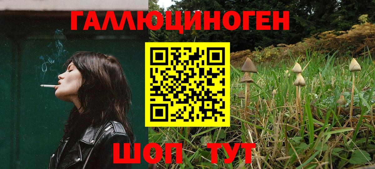 Псилоцибиновые грибы мицелий  Вход с VPN  Спасск-Дальний 